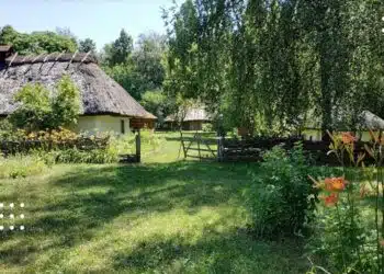 Вдень на Київщині температура сягне 21° тепла: прогноз на 29 квітня