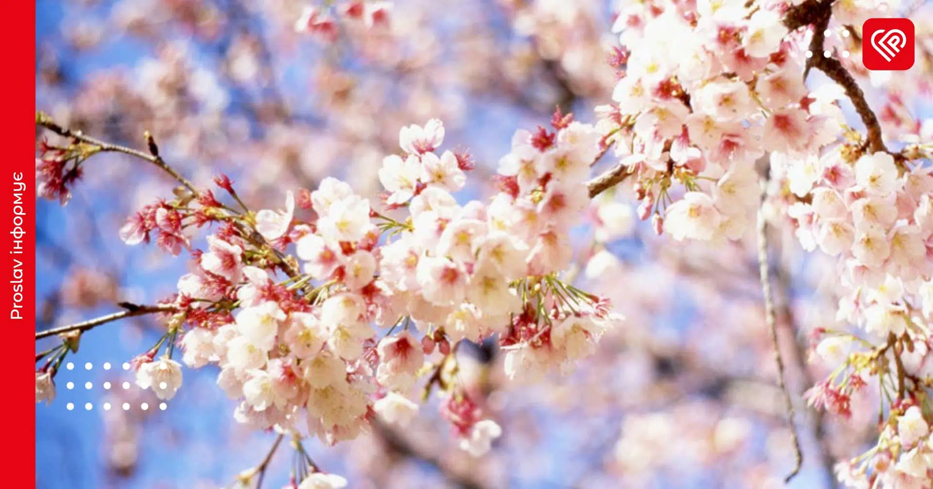 Вдень без опадів та тепло: прогноз на 3 квітня по Київщині