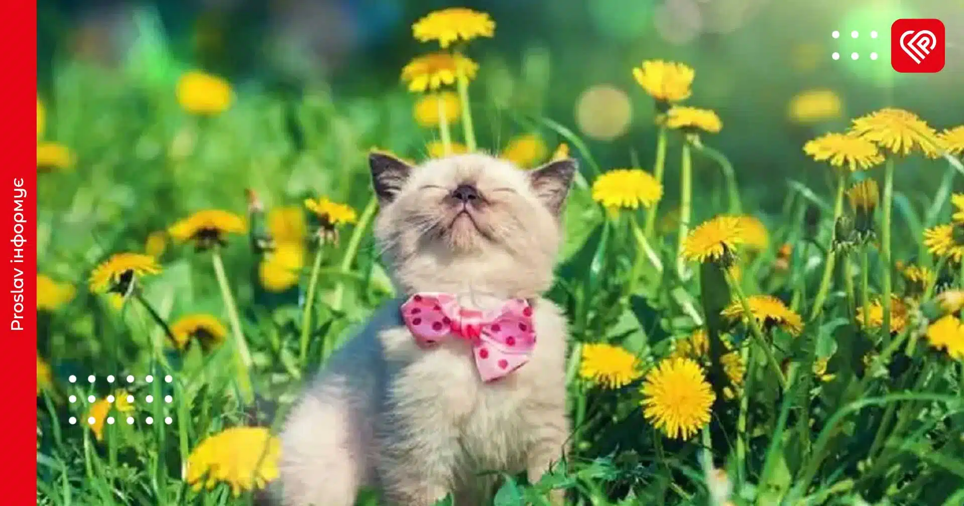 Прогноз на 4 квітня: на Київщину повертається весняне тепло