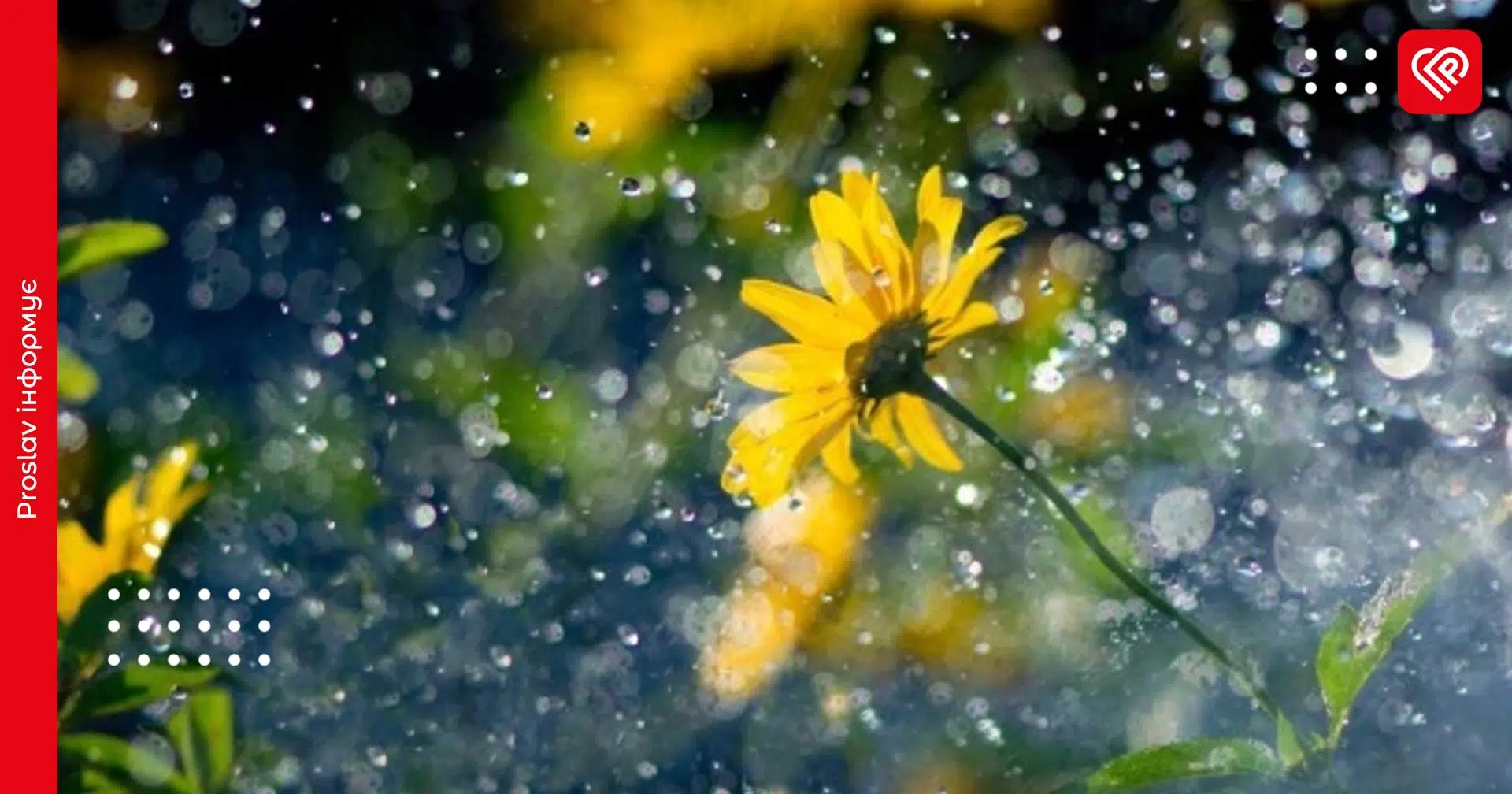 Вдень по Київській області задощить: прогноз на 5 квітня