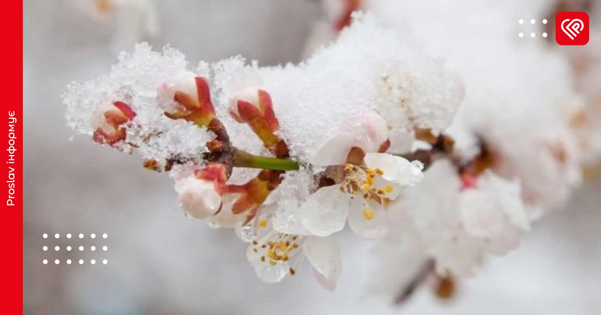 Прогноз на 8 квітня: на Київщині вдень очікується мокрий сніг та ожеледиця