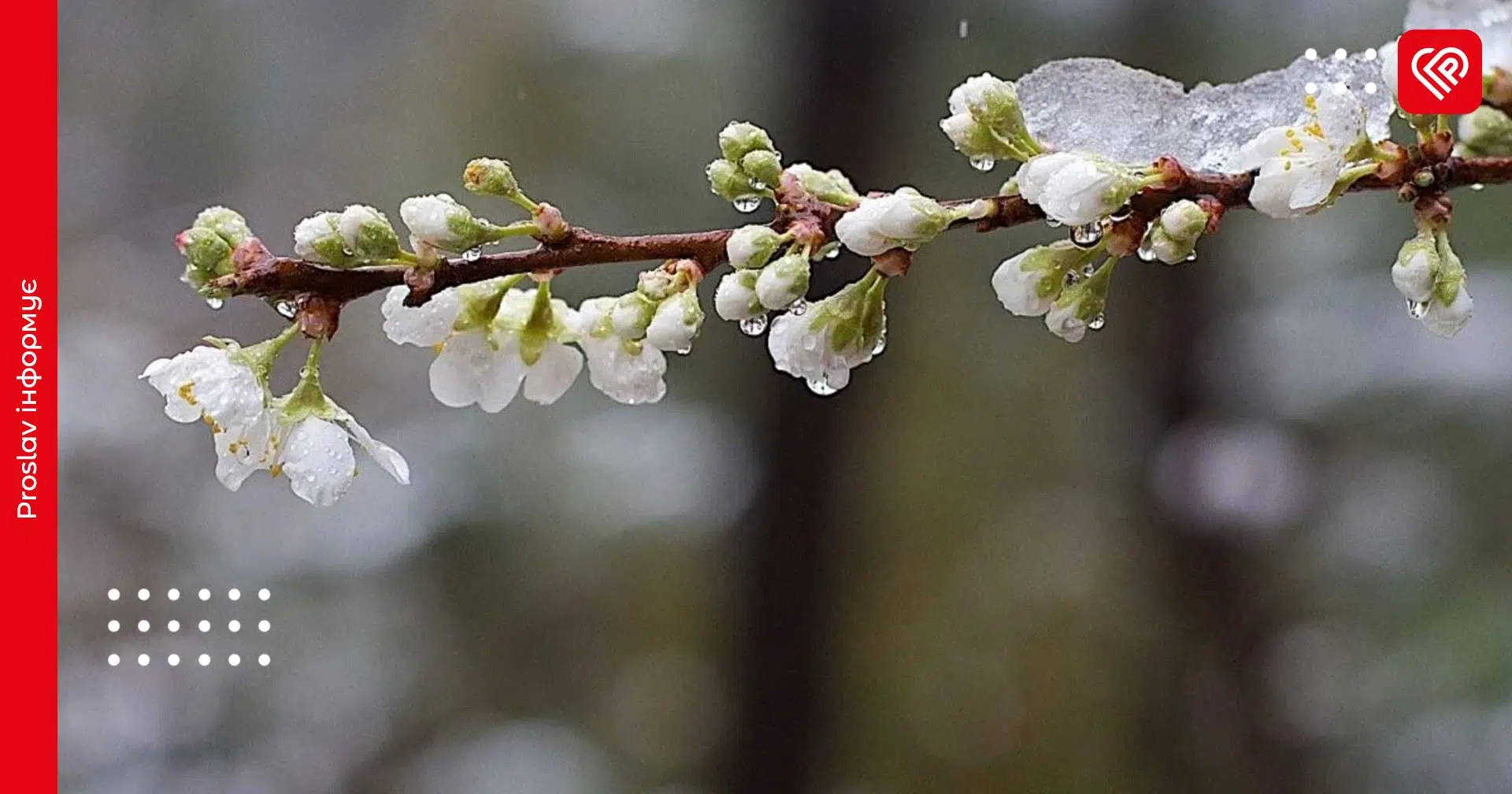 Вночі очікуються заморозки у повітрі: прогноз на 9 квітня по Київщині