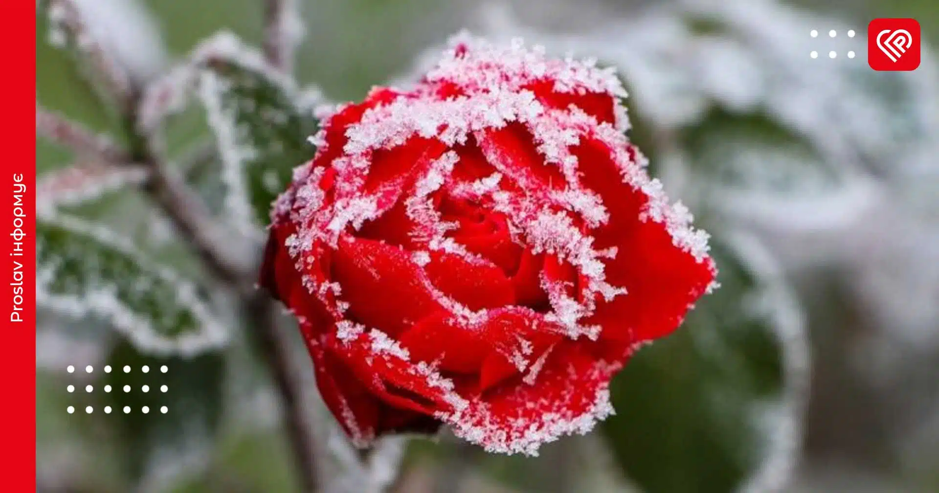 Заморозки у травні: синоптикиня розповіла, чи варто очікувати на похолодання