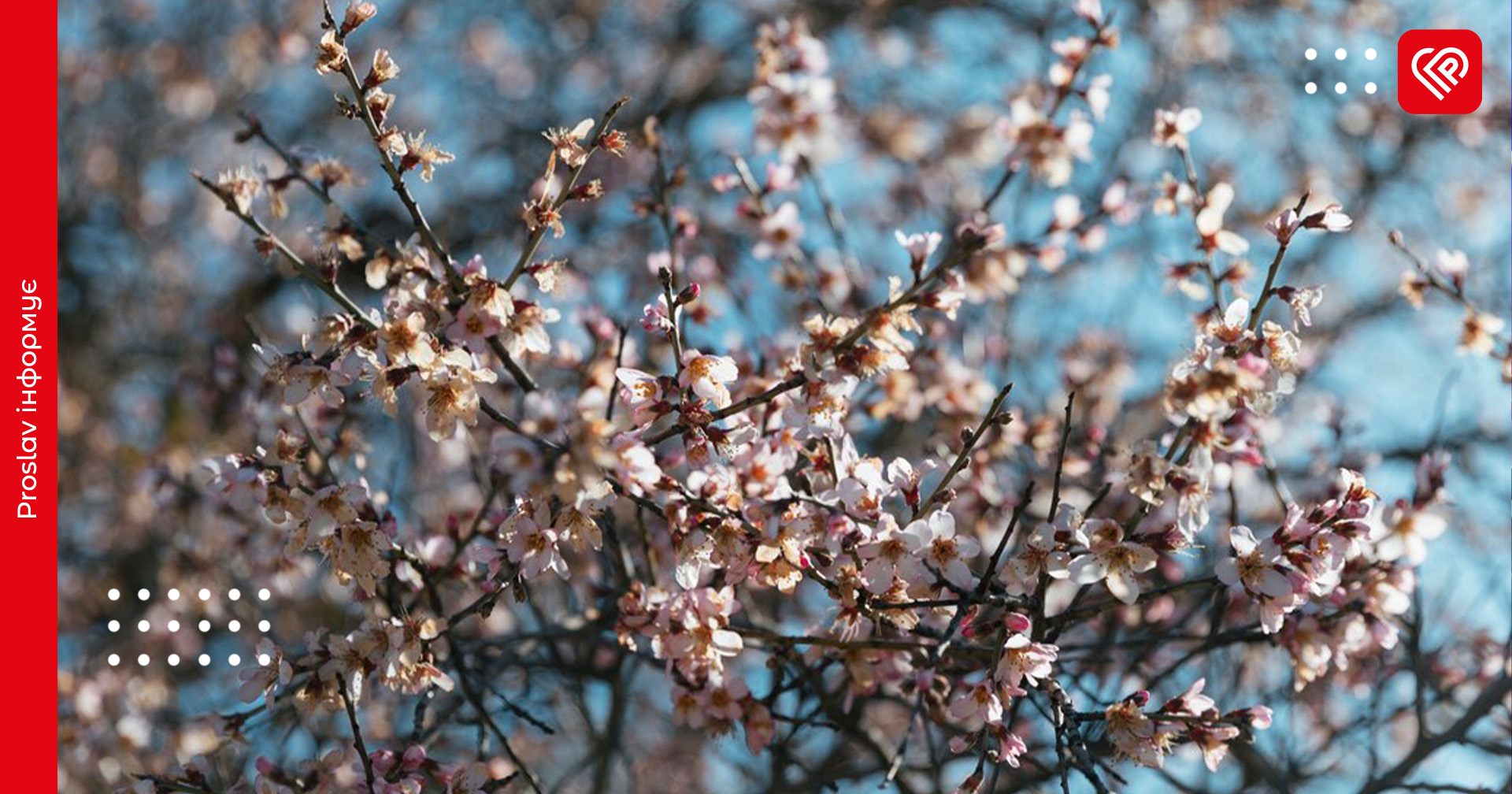 До +18 градусів удень: прогноз погоди на Київщині на 14 квітня