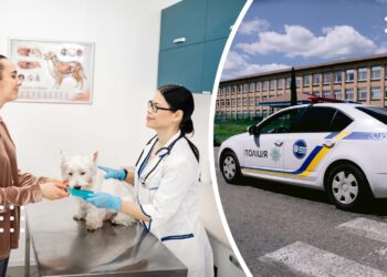 У Переяславі стався конфлікт між власницею тварини та ветлікарем – дайджест поліції