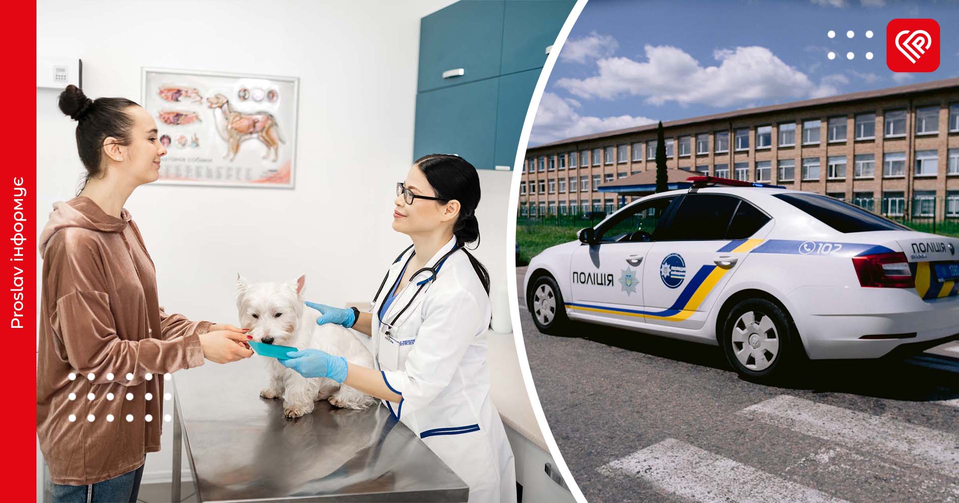 У Переяславі стався конфлікт між власницею тварини та ветлікарем – дайджест поліції