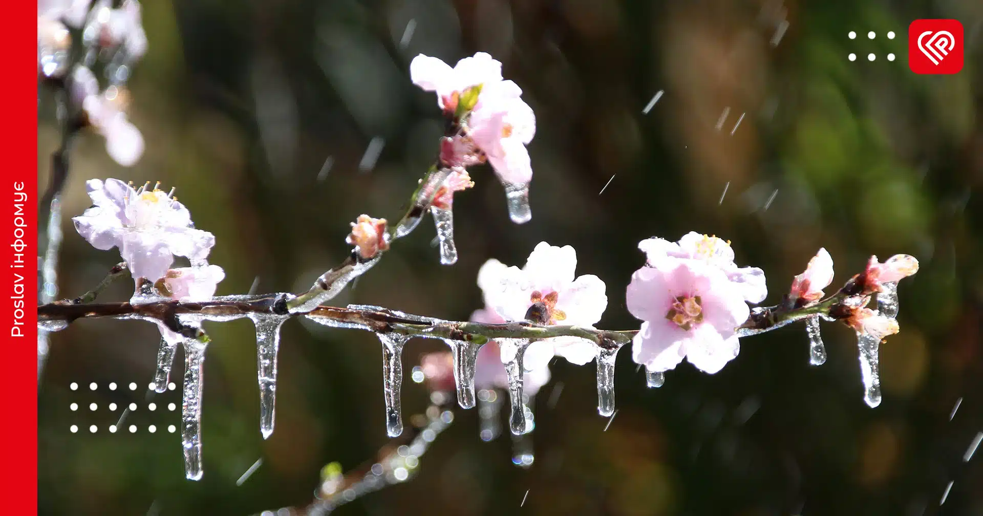 Вже цього тижня в Україну прийдуть заморозки: синоптик назвав дату