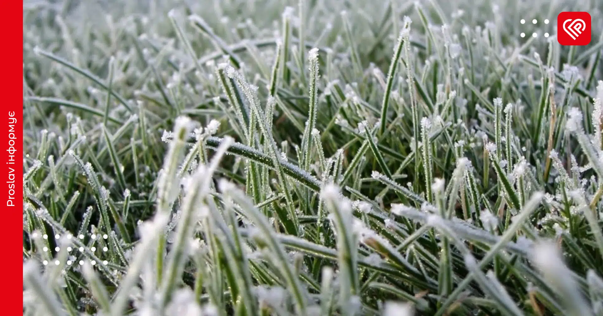 Жителів Київщини попереджають про заморозки, мокрий сніг та ожеледицю