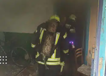У Переяславі сталася пожежа в житловому будинку: загорілося ліжко