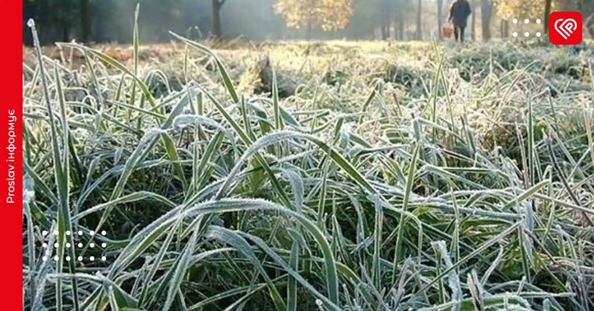 Прогноз на 2 травня: на Київщині знову очікуються заморозки та незначне похолодання
