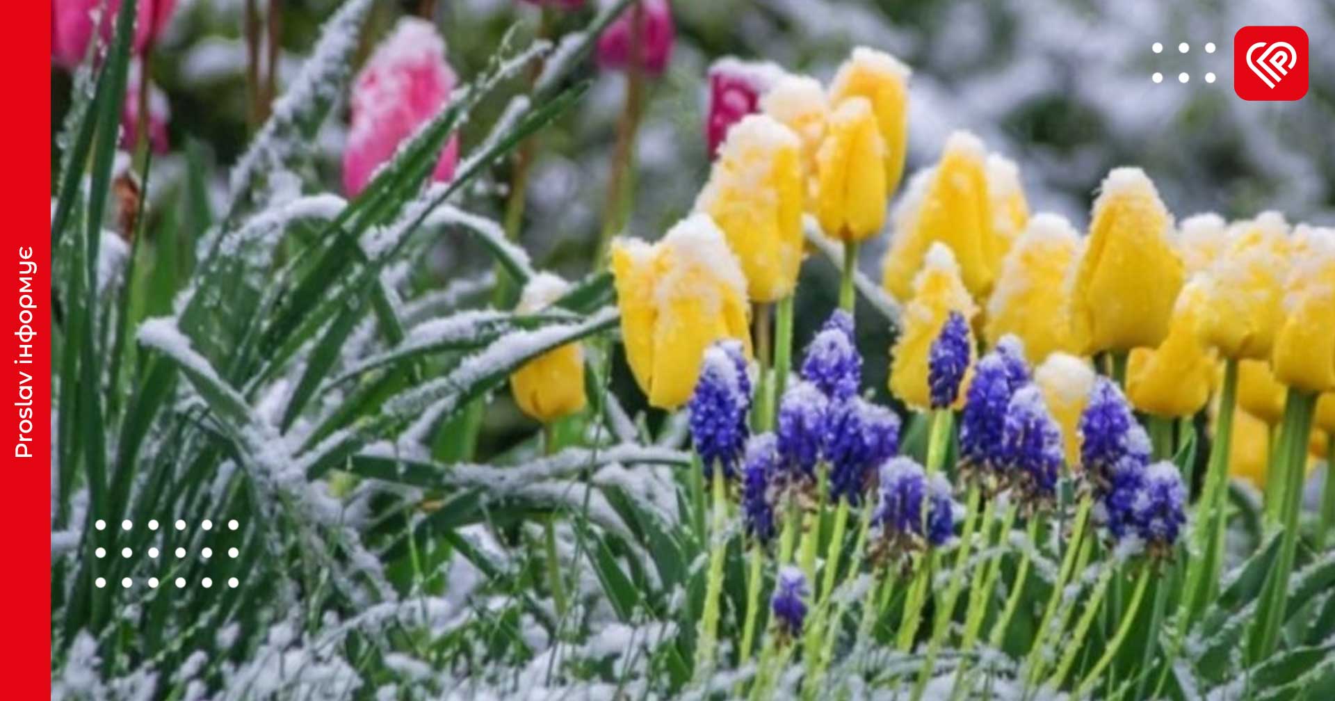 8 травня по Київщині очікуються заморозки: прогноз погоди