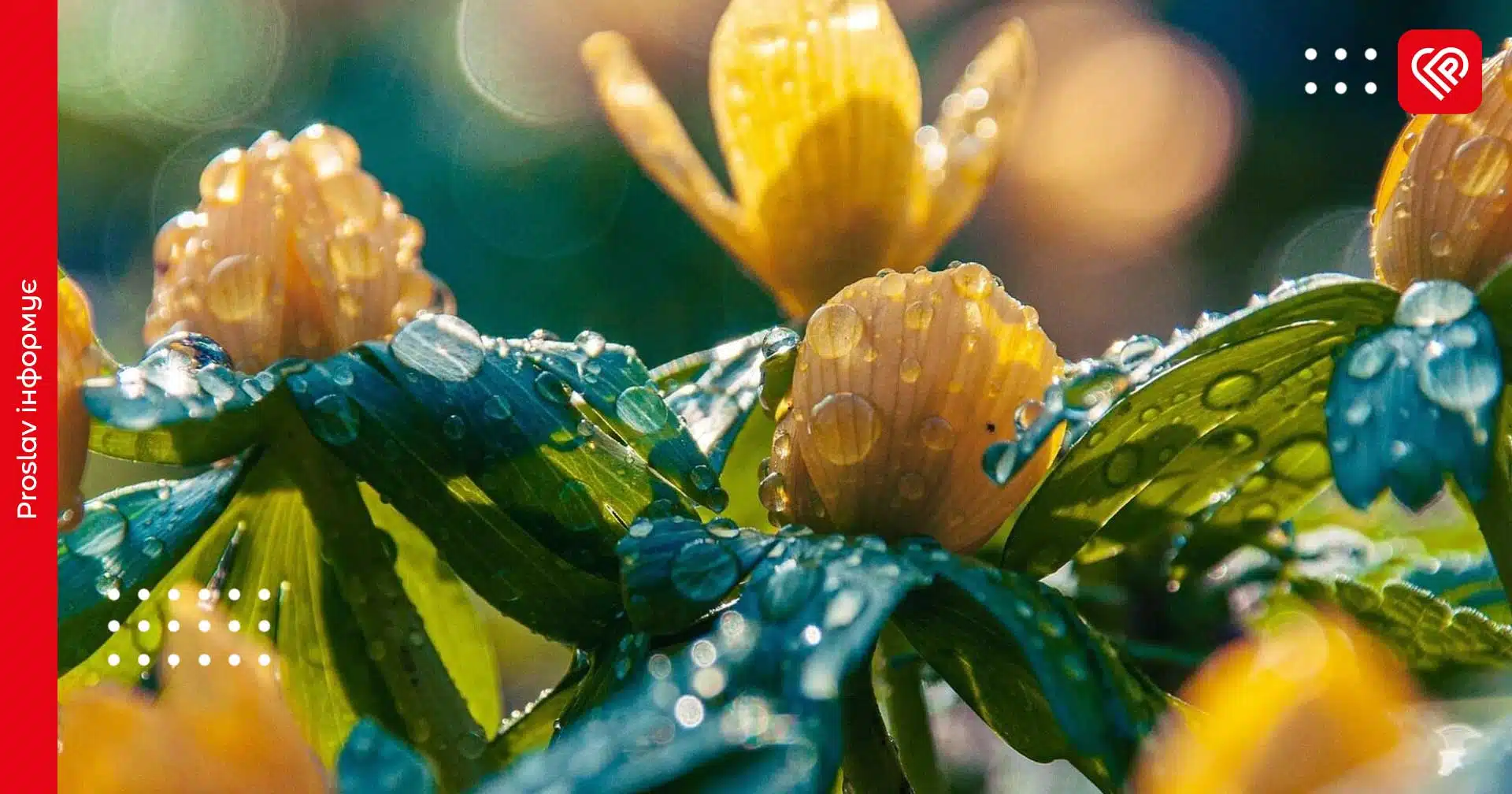 Прогноз на 9 травня: на Київщині вдень та вночі задощить