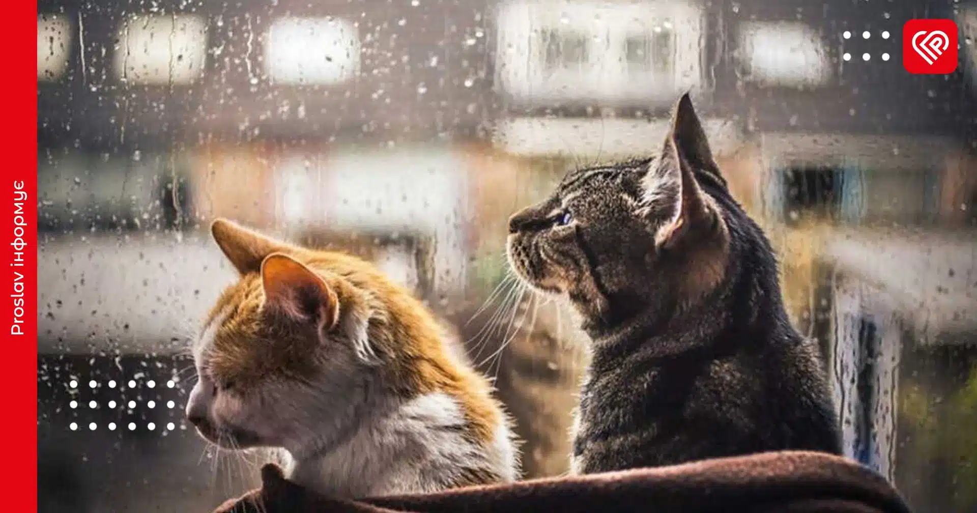 У гідрометцентрі зробили прогноз на 11 травня: на Київщині знову може піти дощ