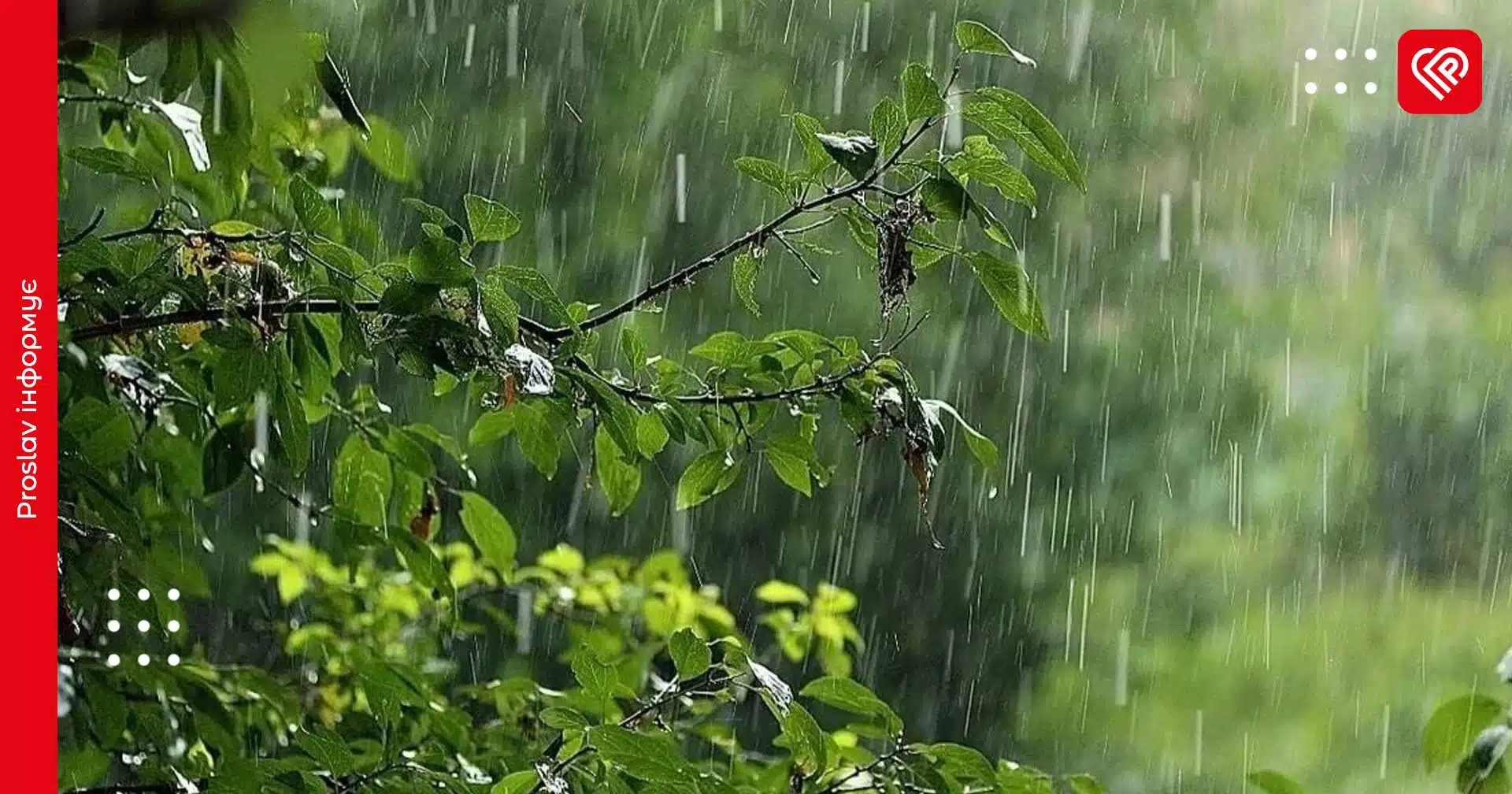 Прогноз на 17 травня: впродовж дня на Київщині очікуються опади