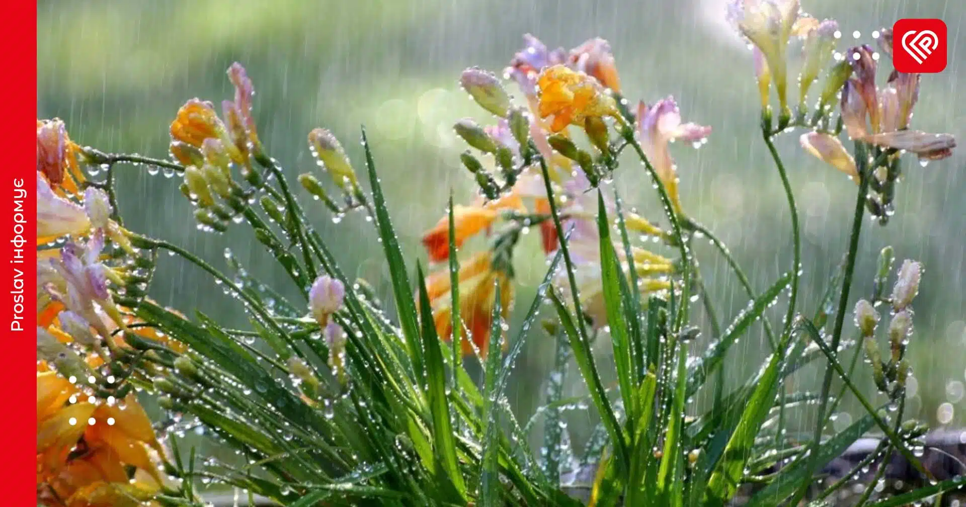 Синоптики розповіли, якою буде погода на Київщині в останній день тижня: прогноз на 18 травня