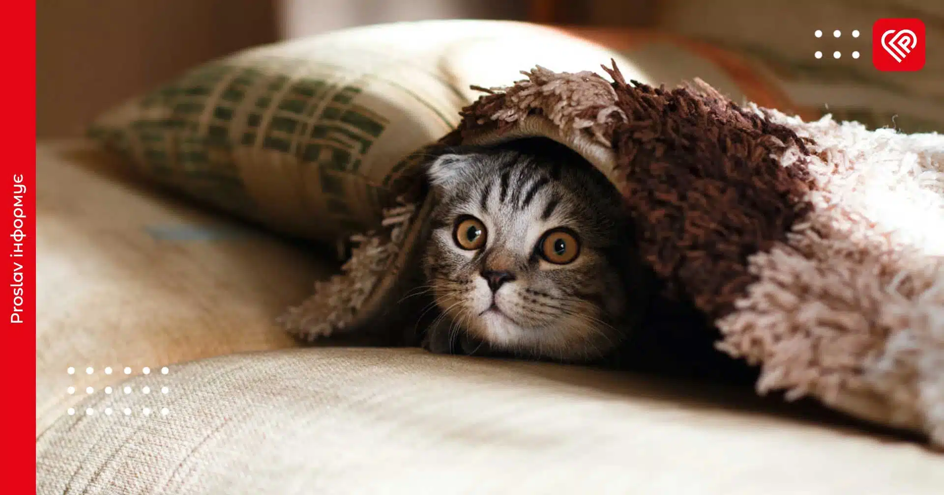 Якою буде погода на Київщині 29 травня: синоптики зробили прогноз