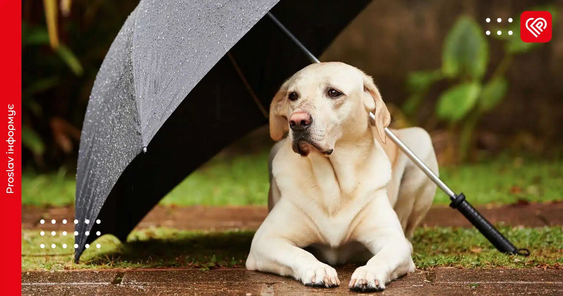До якої погоди готуватися жителям Київщини: прогноз на 30 травня