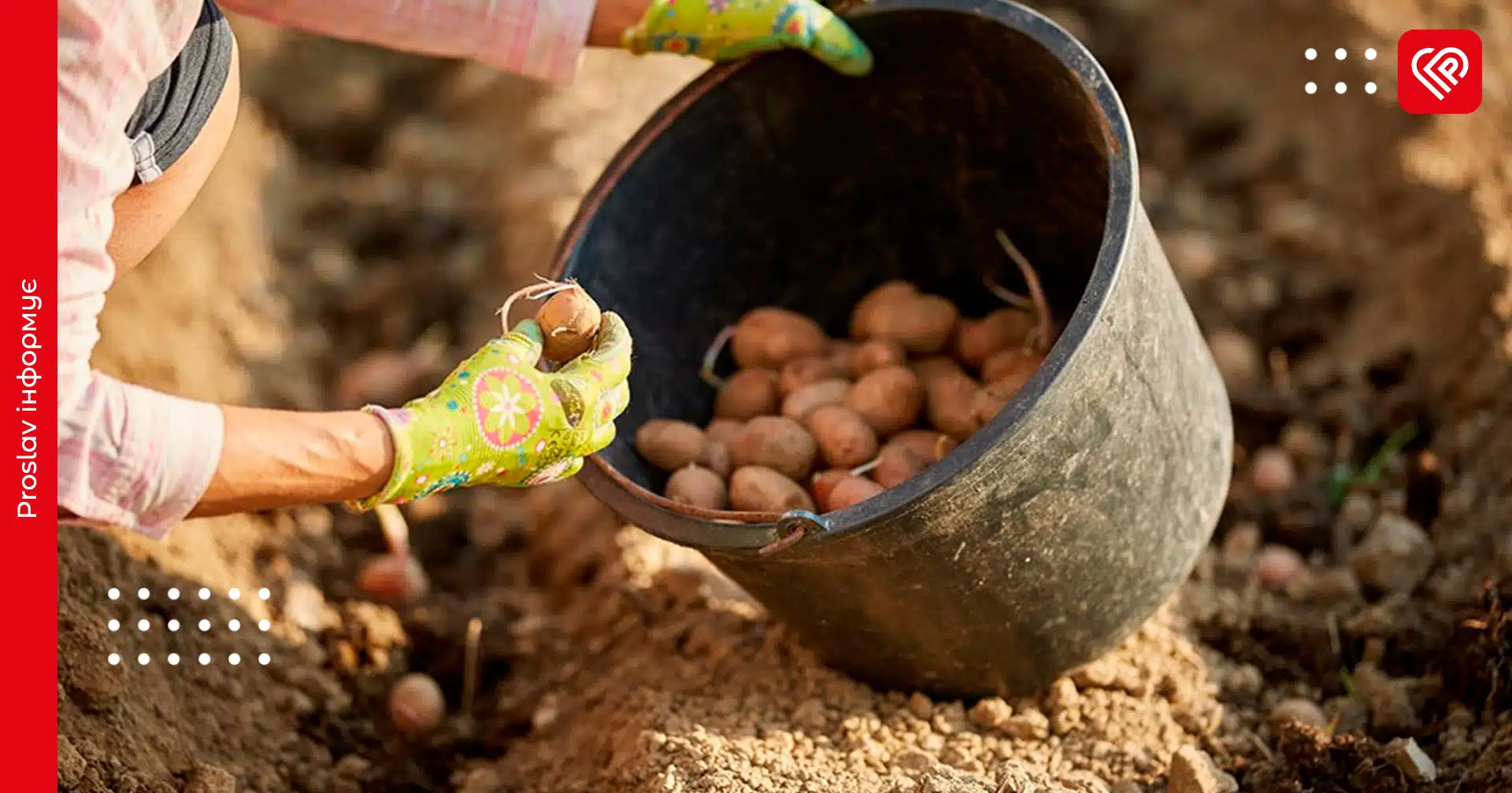 Посівний календар на травень 2025: що та в який день посадити для найкращого врожаю