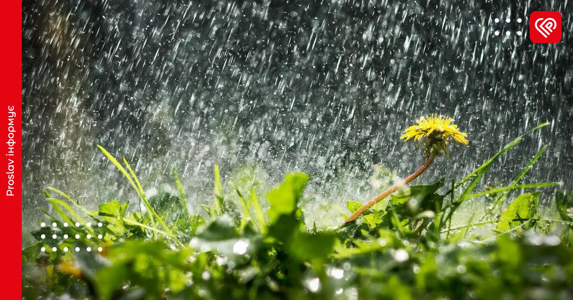 Прогноз на 14 червня: на Київщині триматиметься прохолодна й волога погода