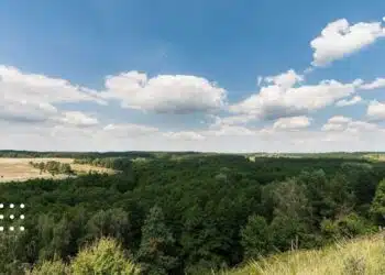 На Київщині стане прохолодніше: прогноз на 10 червня