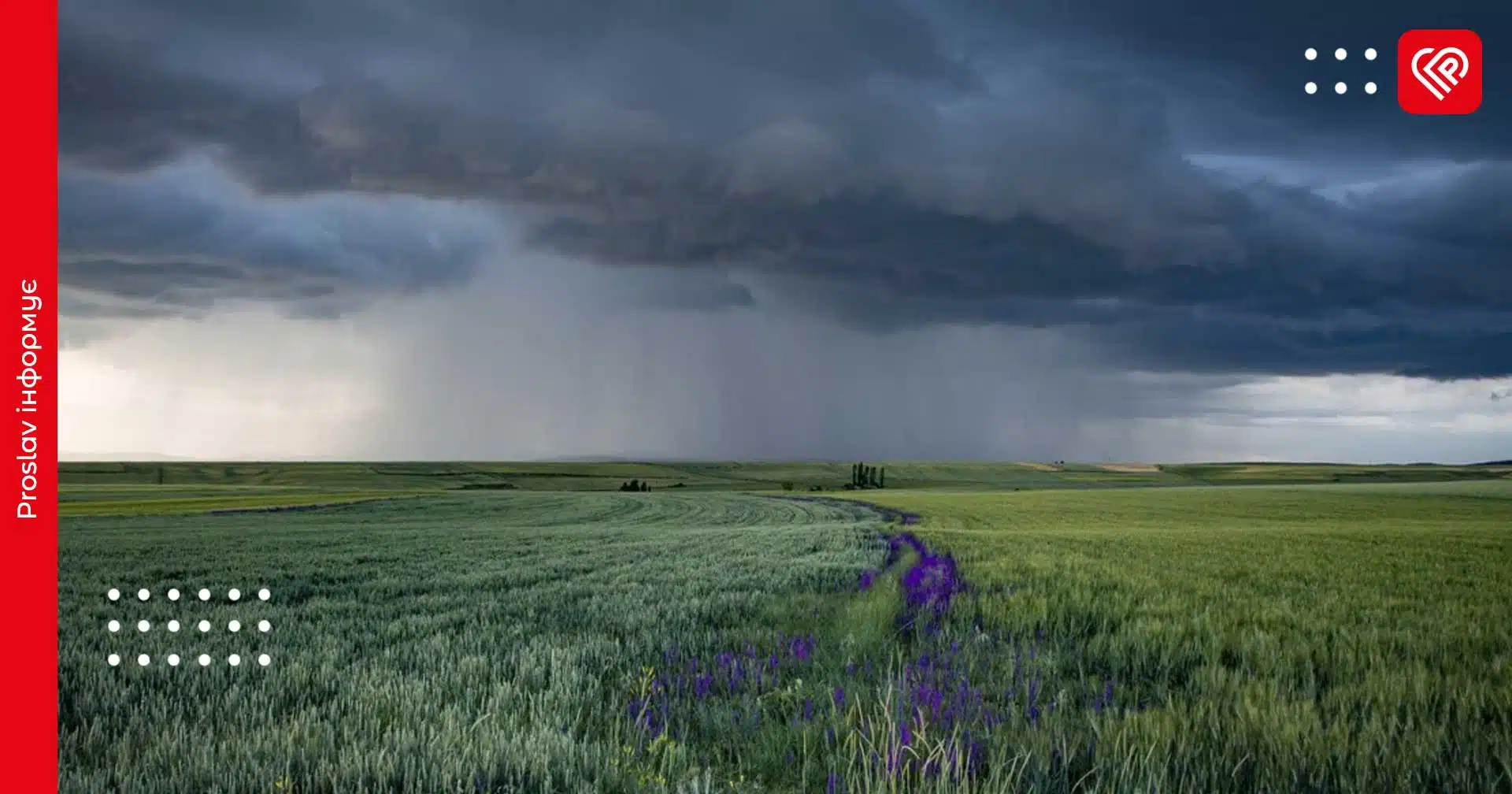 Прогноз на 13 червня: на Київщині задощить з поривами вітру