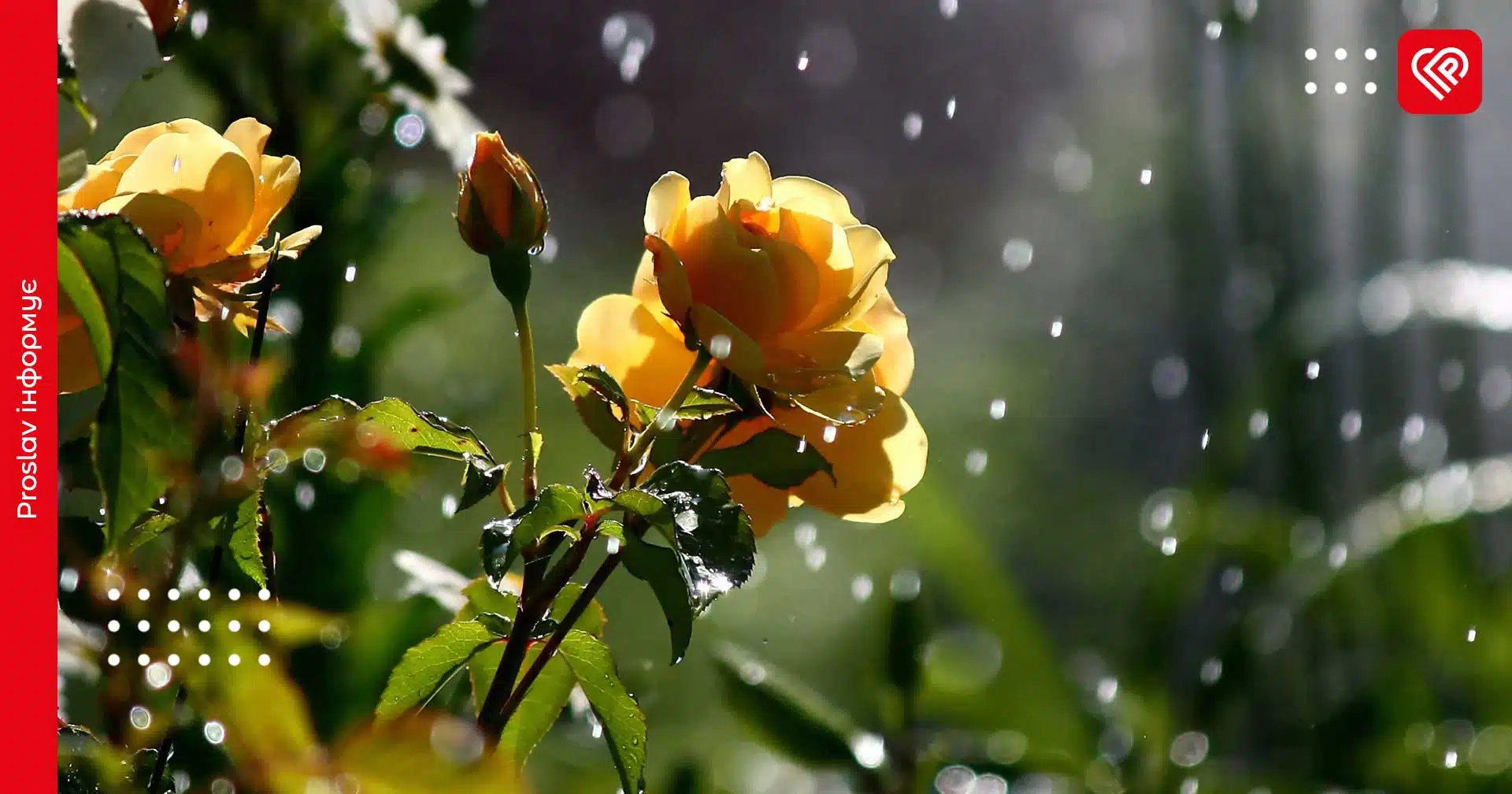 Прогноз на 17 червня: до якої погоди готуватися жителям Київщини