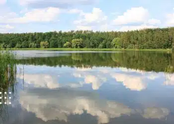 Синоптики розповіли, якою буде погода на Київщині: прогноз на 18 червня