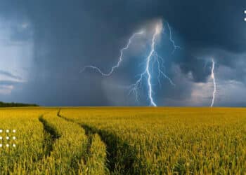 Прогноз на 22 червня: на Київщині знову може задощити