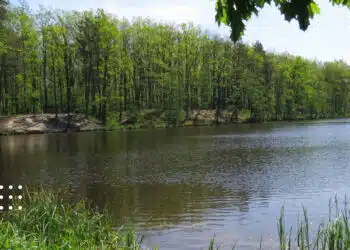 Прогноз на 26 червня: синоптики розповіли, якою буде погода на Київщині