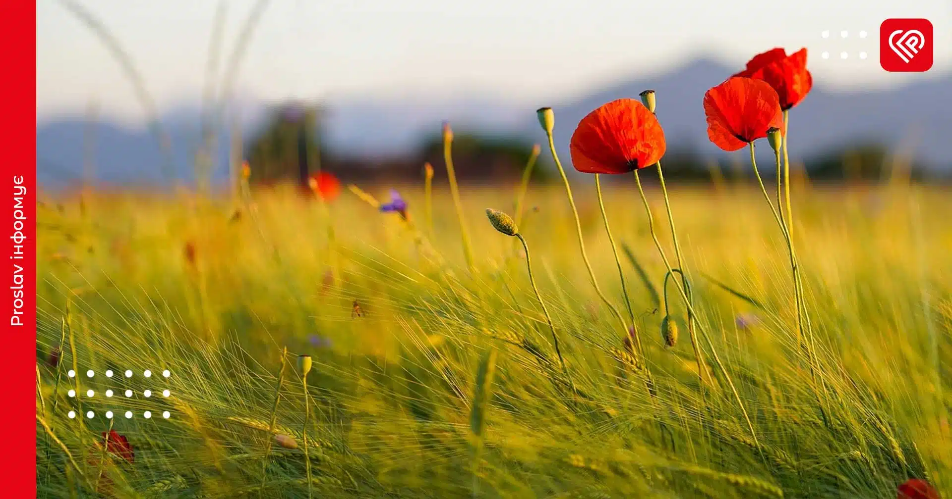 Яку погоду чекати мешканцям Київщини: синоптики зробили прогноз на 5 червня