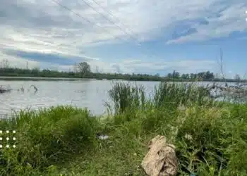 Трагедія на риболовлі: на Київщині чоловіка смертельно вразило струмом