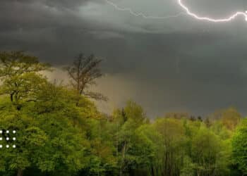На Київщині передбачають грози та шквалистий вітер: синоптики зробили прогноз на 5 липня
