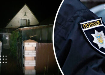 Повалене дерево, зірваний дах і знеструмлені будинки: жителі Переяславщини повідомили поліції про наслідки негоди