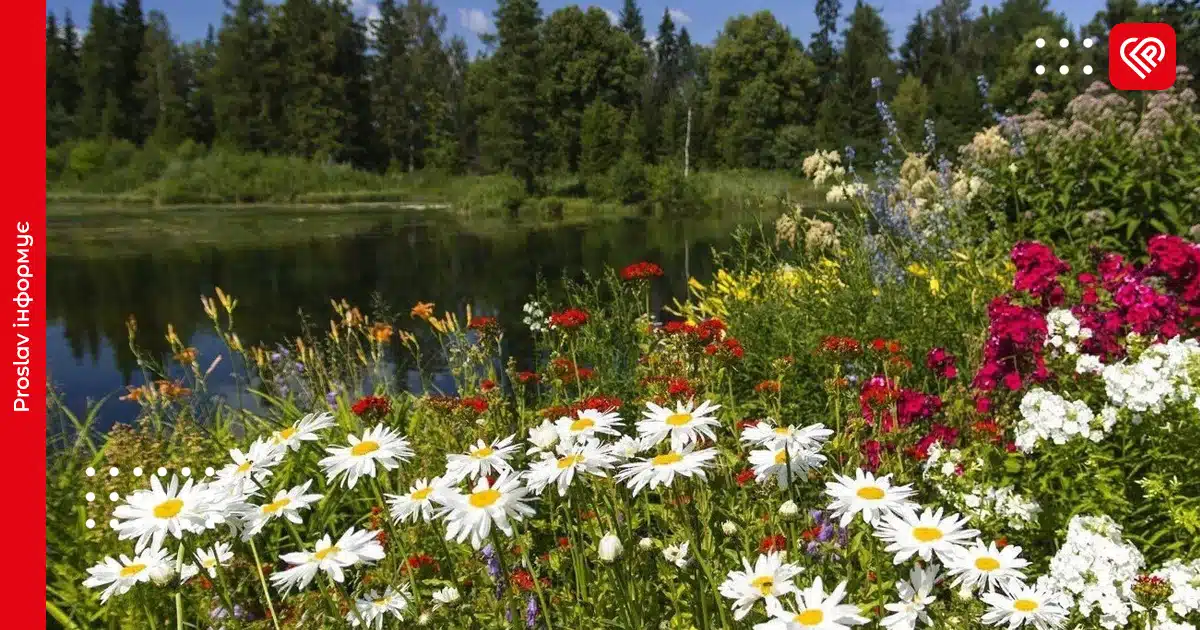 З якої погоди розпочнеться новий тиждень на Київщині: прогноз на 18 серпня