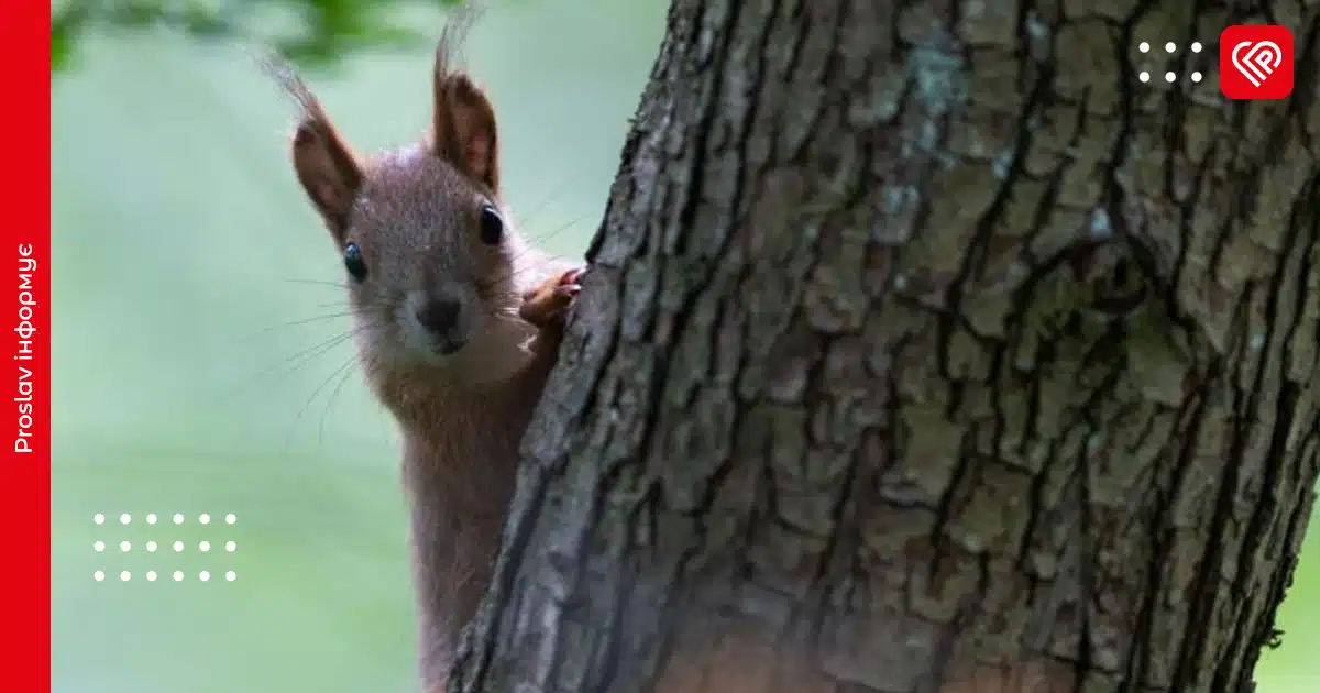 Прогноз на 19 серпня: вночі температура на Київщині опуститься до 8 градусів