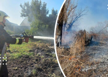 На Переяславщині за день рятувальники ліквідували дві пожежі сухої рослинності
