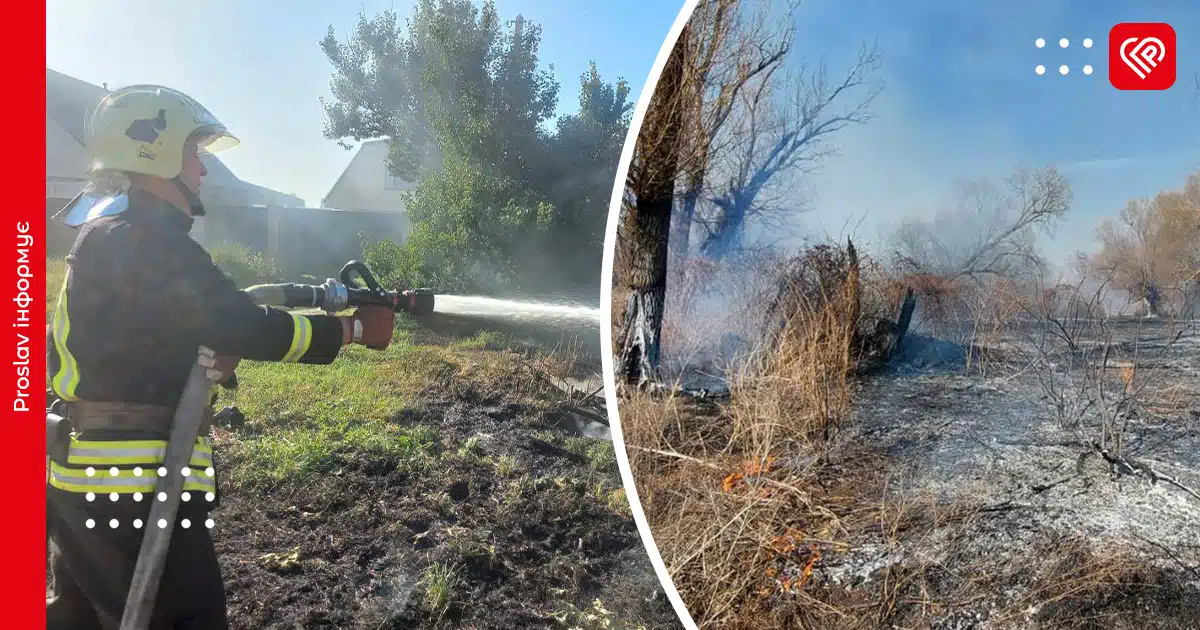 На Переяславщині за день рятувальники ліквідували дві пожежі сухої рослинності