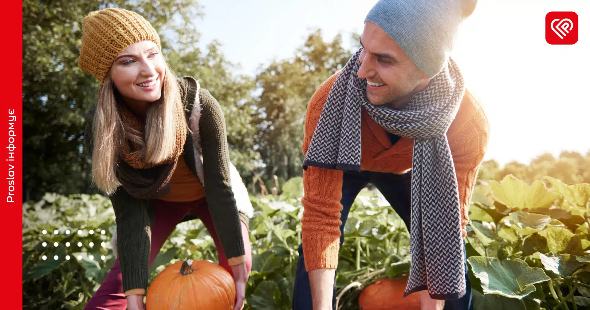 Місячний посівний календар на листопад 2025: коли садити цибулю й часник та як підготувати город до зими
