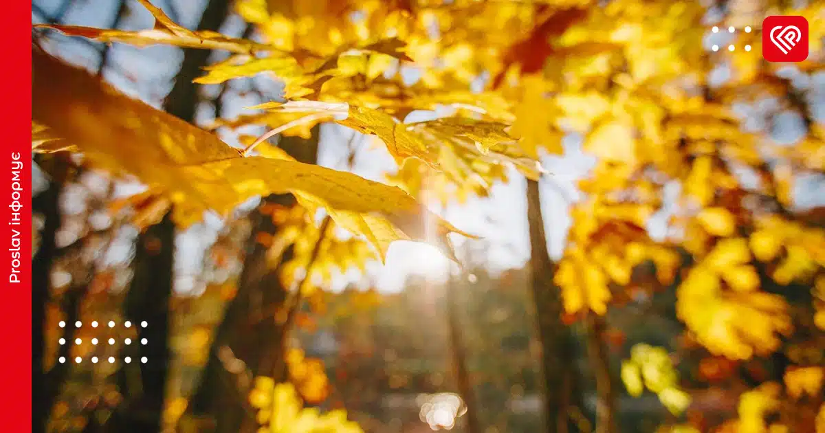 Якою буде погода на Київщині 1 листопада: у гідрометцентрі зробили прогноз
