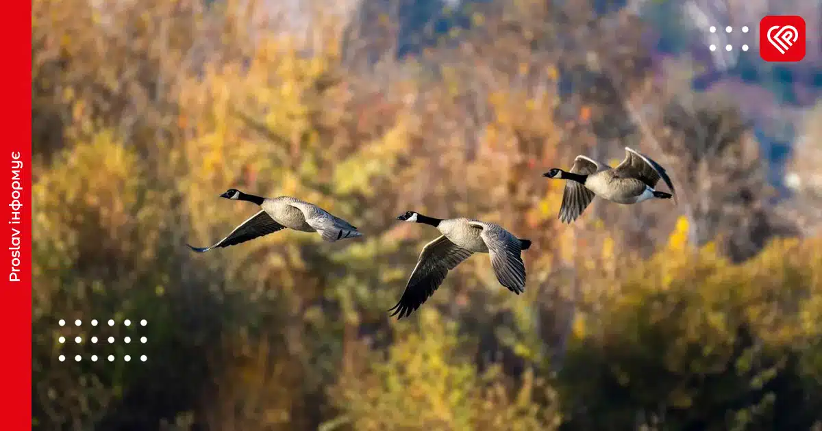 Якою буде погода на Київщині 30 жовтня: синоптики зробили прогноз