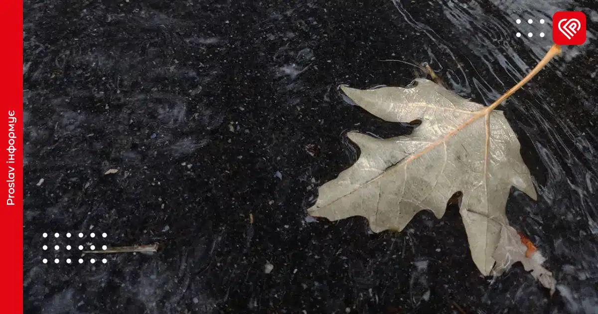 Прогноз погоди: на Київщині в останній день жовтня задощить