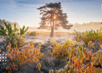 Прогноз погоди: 7 жовтня на Київщині опадів не буде, однак можливий туман