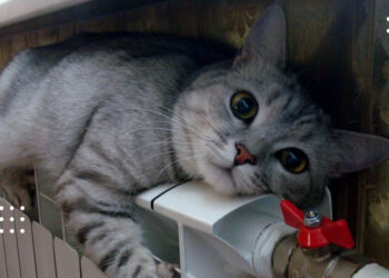 У Переяславській громаді відновили подачу тепла