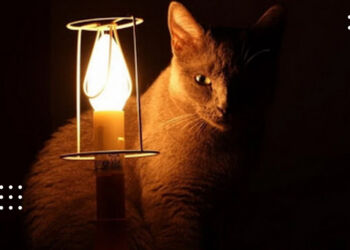 9 жовтня у Переяславі заплановані відключення світла: графік та перелік вулиць