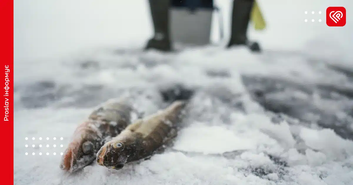 З 1 листопада на водоймах Київщини запроваджують сезонну заборону на вилов риби у зимуавальних ямах