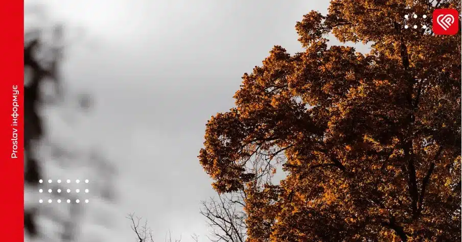 Прогноз погоди: на Київщині 15 листопада буде тепло, але з опадами