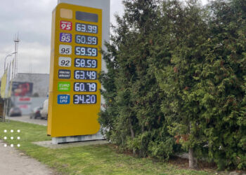 Ціни на пальне у Переяславі: скільки коштує заправитися у листопаді