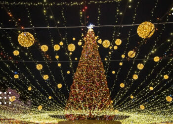 Головна ялинка країни: коли відкриють і що буде на Софійській площі