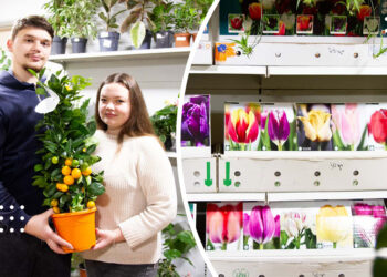 У Переяславі відкрився магазин кімнатних рослин «Ромашка»: тут можна купити мандаринове дерево та цибулини голландських тюльпанів, щоб зустріти весну з квітами