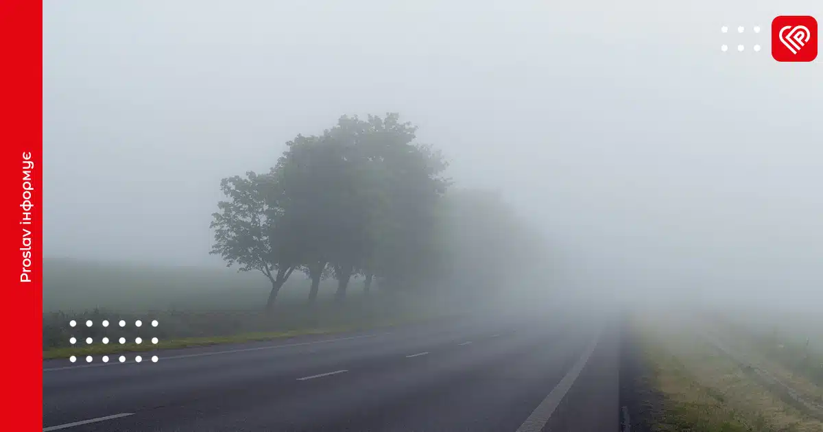 дорога туман